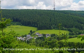 Osterwald im Schmallenberger Sauerland