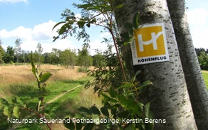 Wiesenweg bei Altastenberg