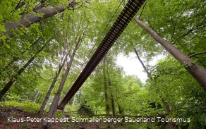 Hängebrücke am Rothaarsteig