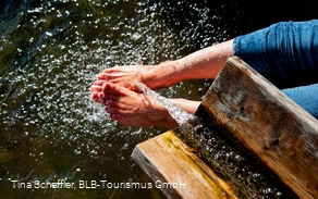 Wisent-Pfad - Tretbecken