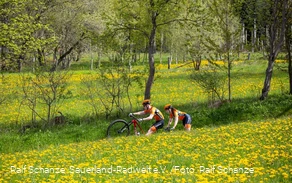 Zwei Mountainbiker fahren durch eine gelb blühende Wiese am Waldrand bei Winterberg