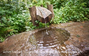 Siegquelle bei Netphen-Walpersdorf