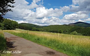 Auf dem Keltenweg
