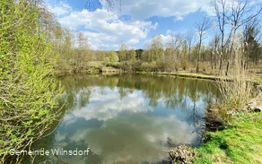 Silbersee