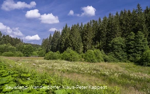 Natur im Schwarzbachtal Natur im Schwarzbachtal
