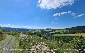 Blick in Richtung Ohlenbach