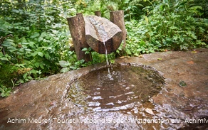 Das Wasser der Siegquelle in Netphen Das Wasser der Siegquelle in Netphen