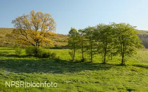 Goldige Ansichten in Bad Berleburg