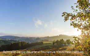 Blick auf Cobbenrode