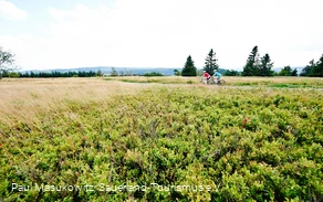 In der Hochheide-Landschaft des Kahlen Astens