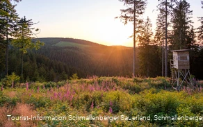 Sonnenuntergang am Rothaarsteig bei Jagdhaus