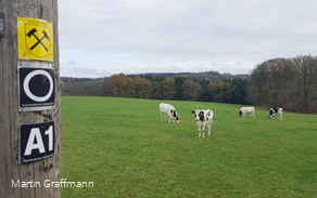 Grubenwanderweg 6 Martin Graffmann.jpg