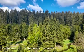 Kurz nach dem Start - der malerische Blick auf den mäandrierenden Zinsebach