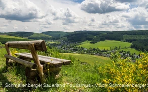 Westfeld im Hochsauerland