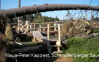 Der Kyrill-Pfad