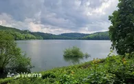 Blick auf den Hennesee 
