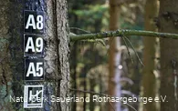 Eine Vielzahl von Wanderwegen eröffnen sich dem Ga