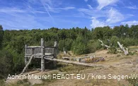 Wisent-Wildnis