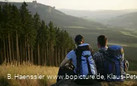 Blick auf die Bruchhauser Steine
