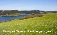 "Der Listerblick"