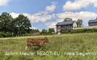 Eichenhof, Kreuztal-Eichen