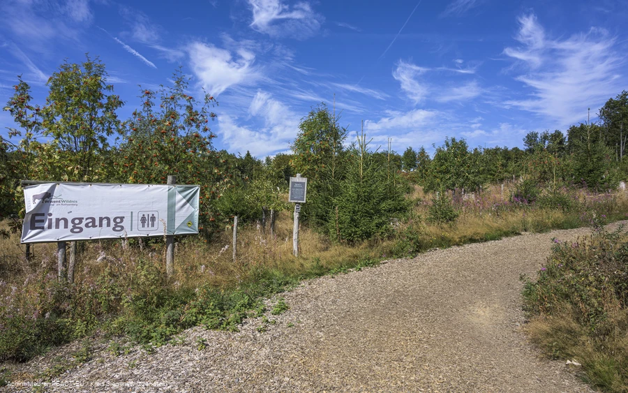 Wisent-Wildnis Zugang vom Parkplatz