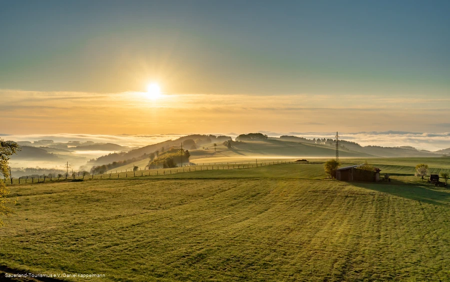 Wiesenlandschaft in Liesen