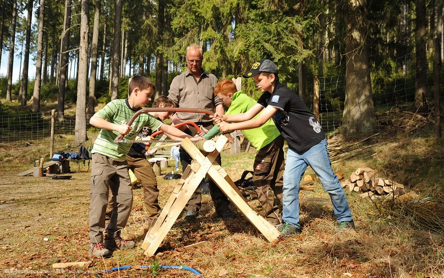 Wisent Wildnis Kinder sägen Wisent Wildnis Kinder sägen