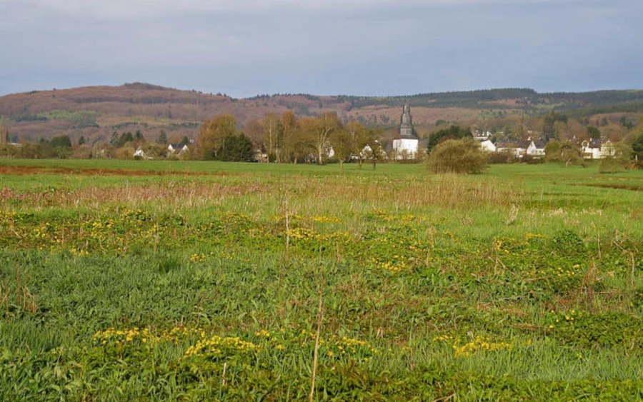 49_H_Wetterbachtal-Haupt Michael Frede.jpg