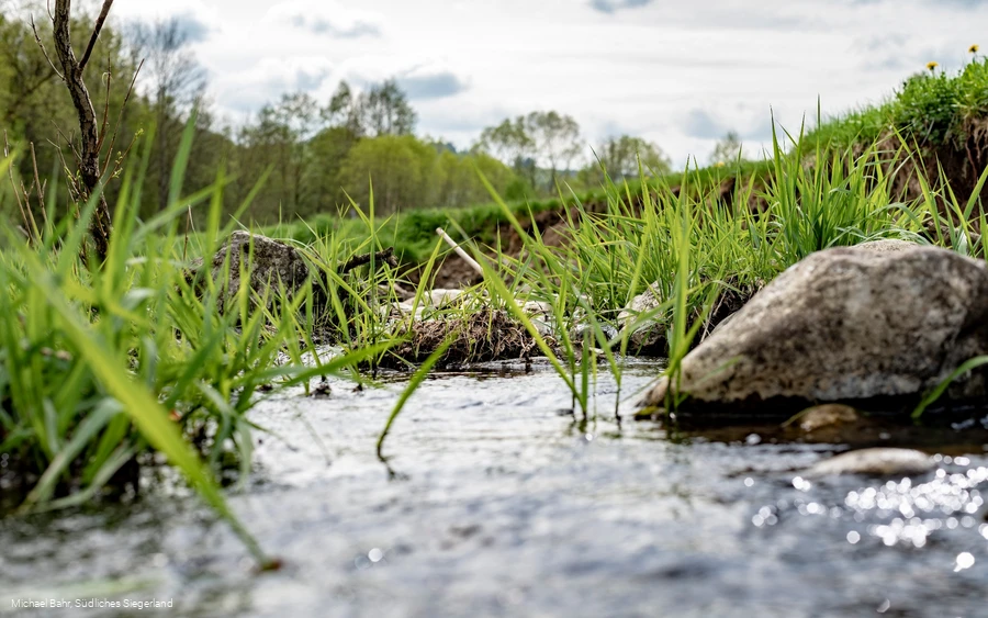 Der Wetterbach in Holzhausen