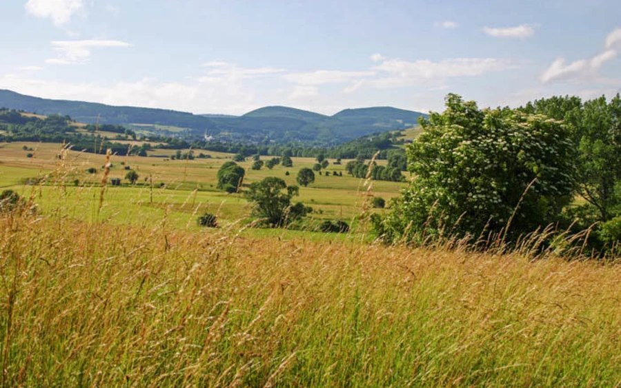 25_H_Gebiet_Nuhnewiesen_haupt Richard Götte.jpg