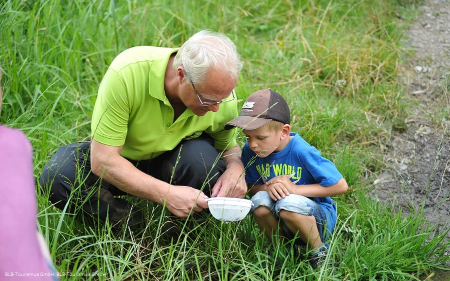 Wisent Wildnis Waldpädagogik 3 Wisent Wildnis Waldpädagogik 3