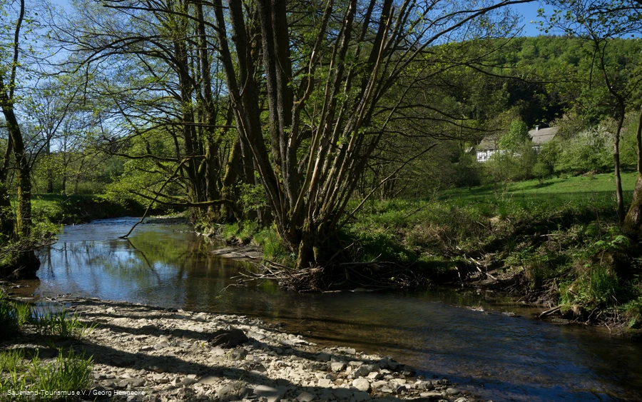 Fluss fließt durch Landschaft