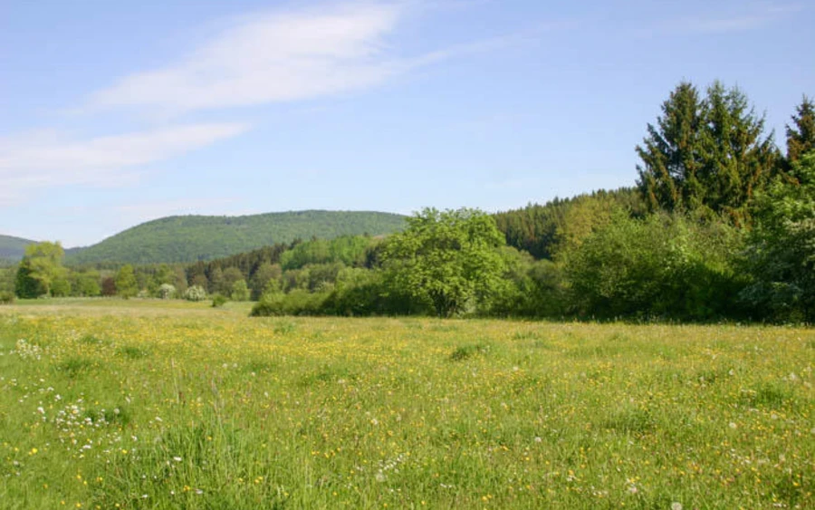 22_H_Gelaengebachtal_Haupt Katharina Koch.jpg