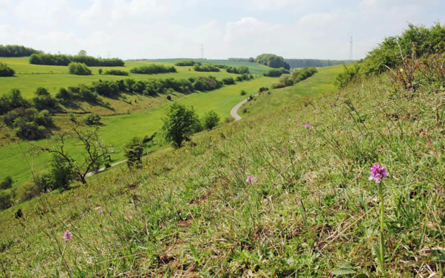 15_H_Glockengrund_Werner Schubert.jpg