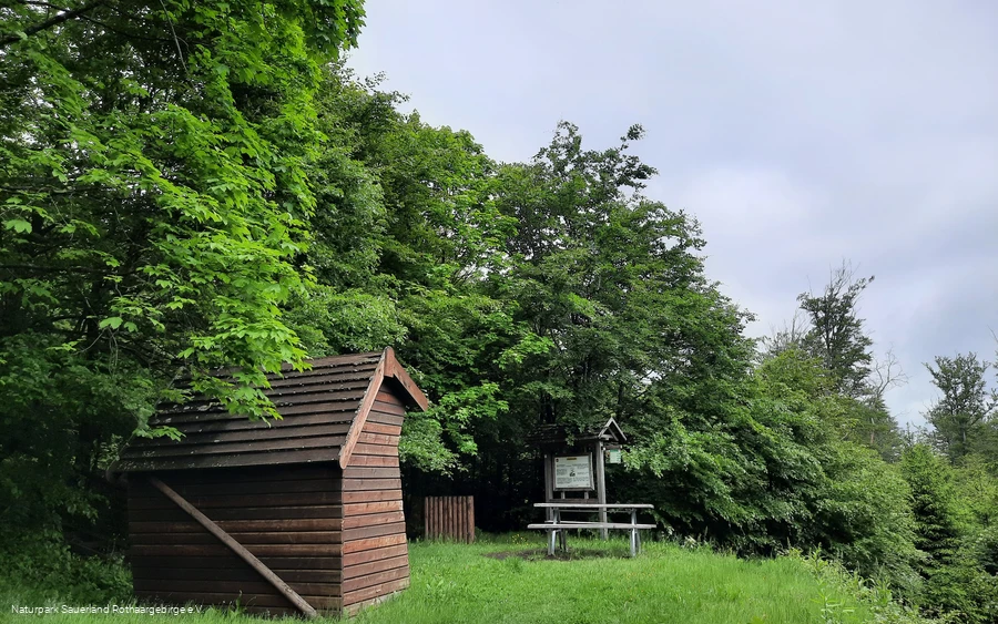 Pausenort im Wald