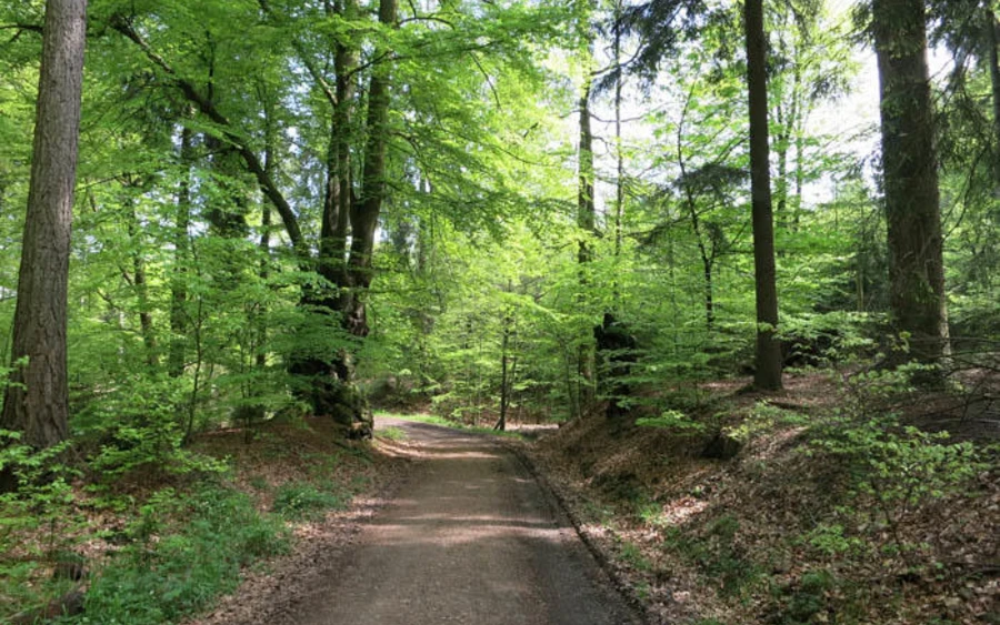 12_H_Moosfelde_Katharina Wrede.jpg