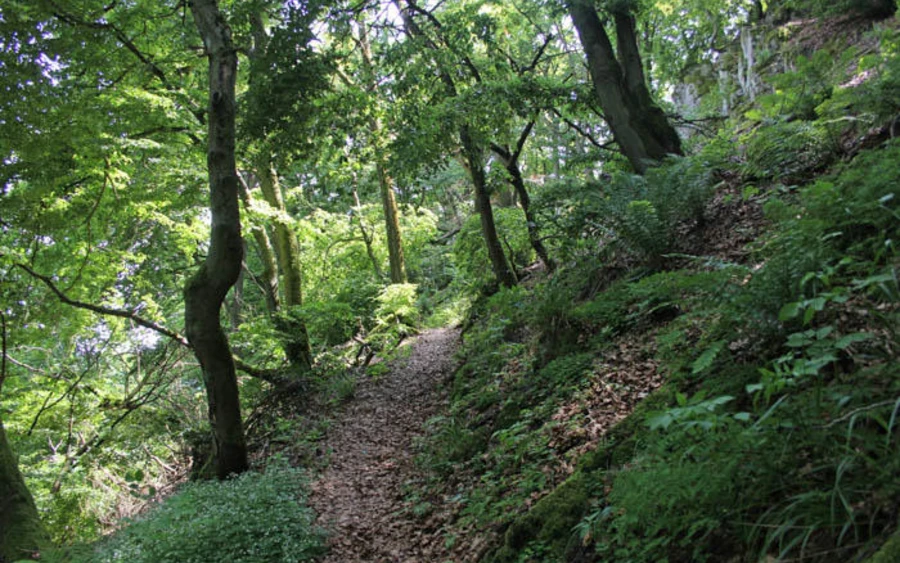 16_H_Weisse-Frau_Werner Schubert.jpg