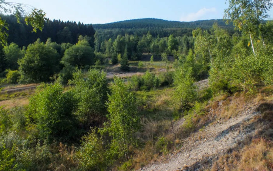 41_H_Halden_Ursula Siebel.jpg