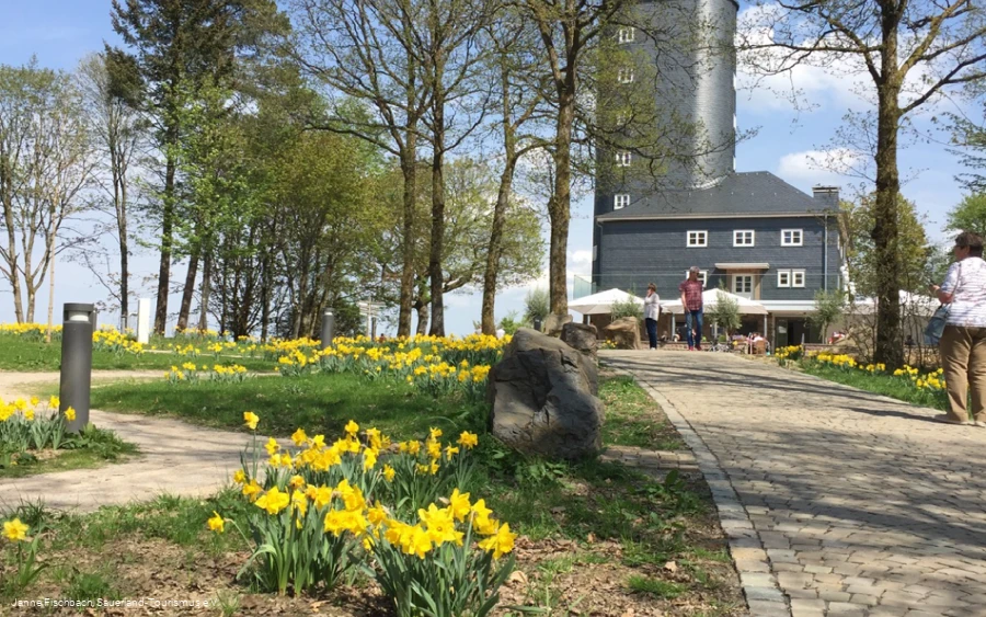 Hohe Bracht Hohe Bracht