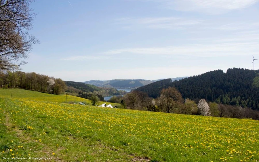 ... die herrliche Landschaft rund um den "Big