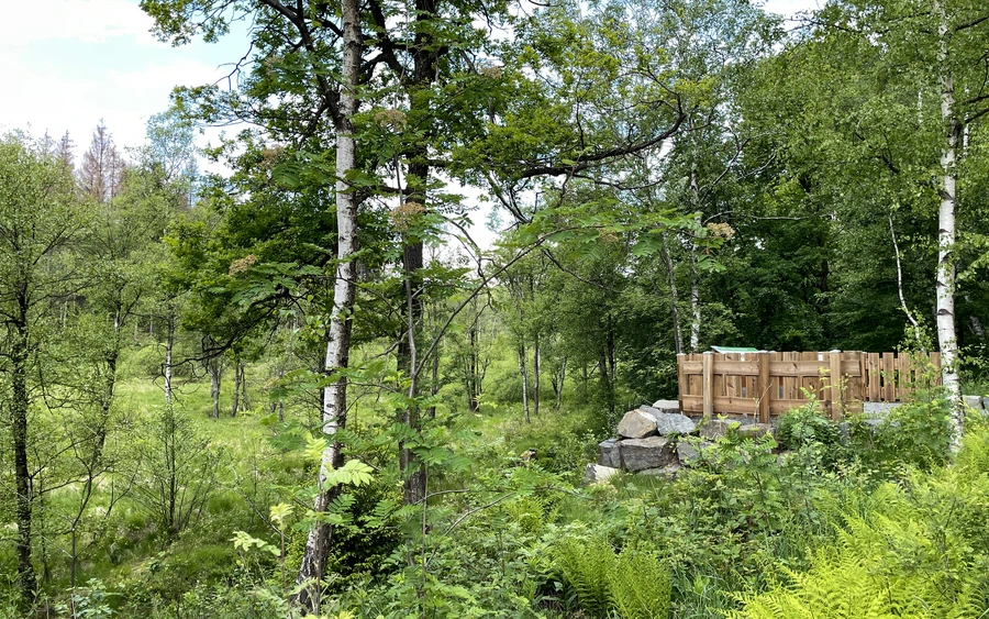 Informationsplateau Ebbemoore & Sagenort "Die Römer in der Grundlose" Informationsplateau Ebbemoore & Sagenort "Die Römer in der Grundlose"