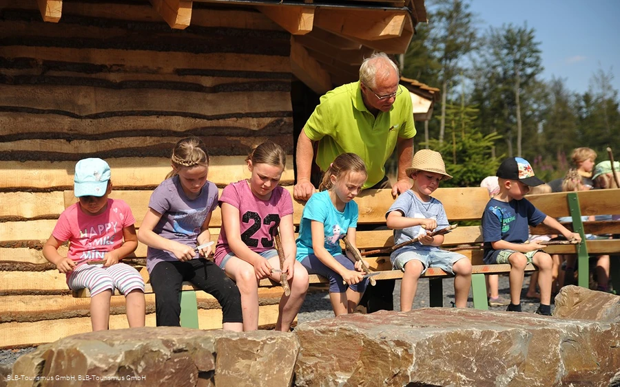Waldpädagogik Wisent Wildnis Schnitzen Waldpädagogik Wisent Wildnis Schnitzen