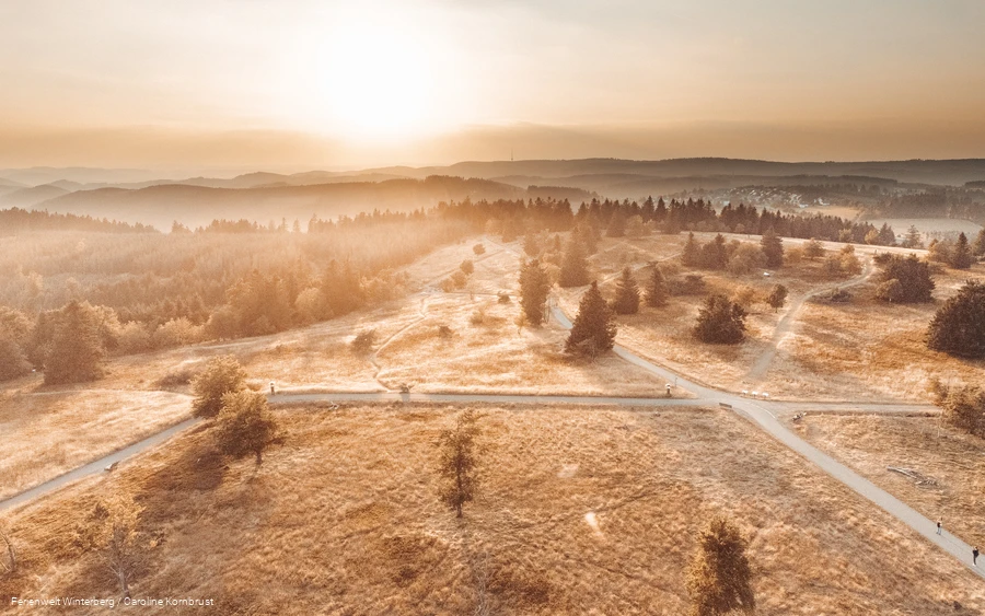 Drohnenaufnahme der Heidelandschaft mit Wanderwegen rund um den Kahlen Asten.