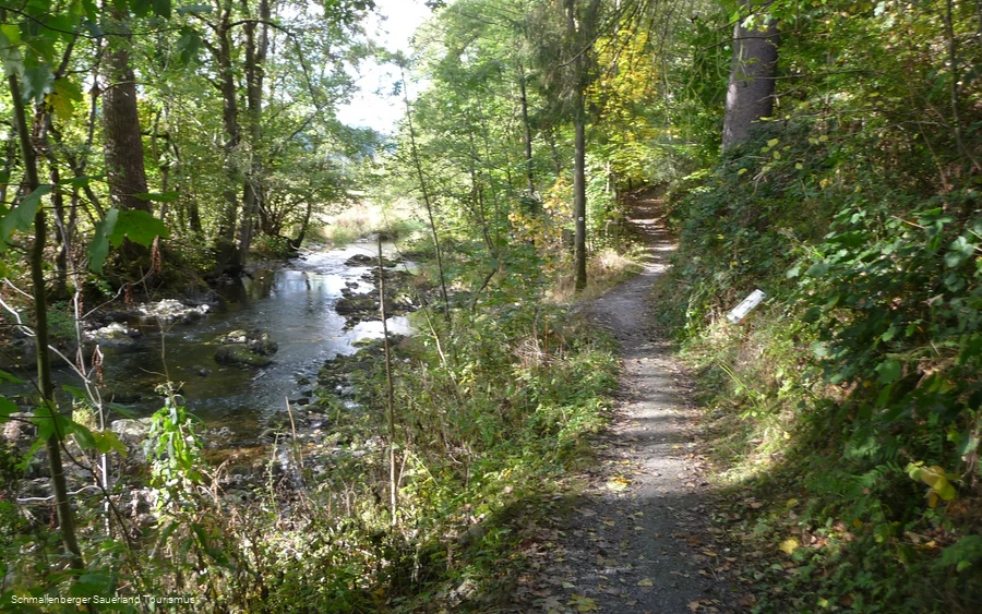 Wennepfad bei Wenholthausen