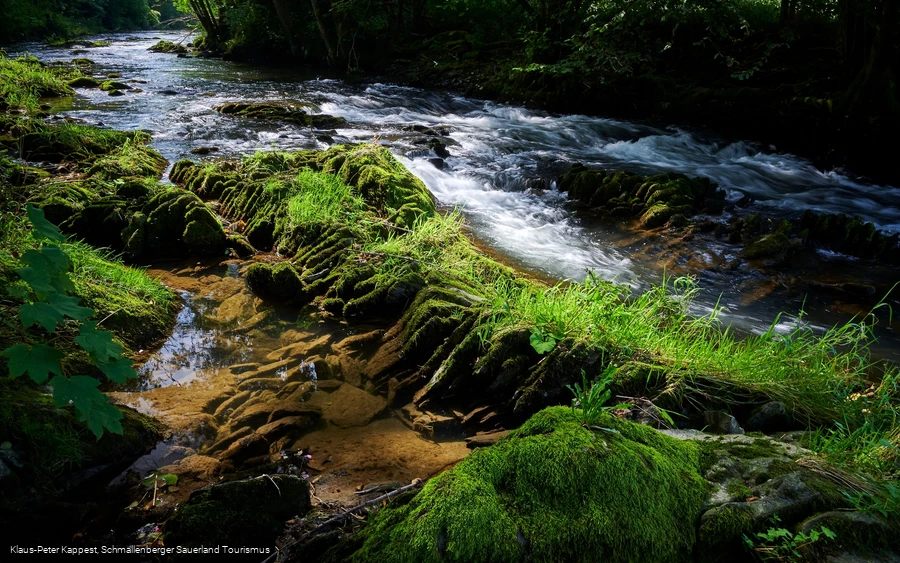 Die Wenne am Wennepfad in Wenholthausen Die Wenne am Wennepfad in Wenholthausen