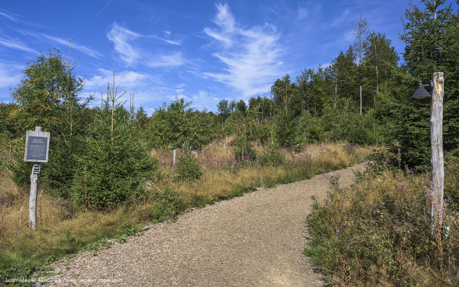 Wisent-Wildnis Zugang vom Parkplatz Wisent-Wildnis Zugang vom Parkplatz