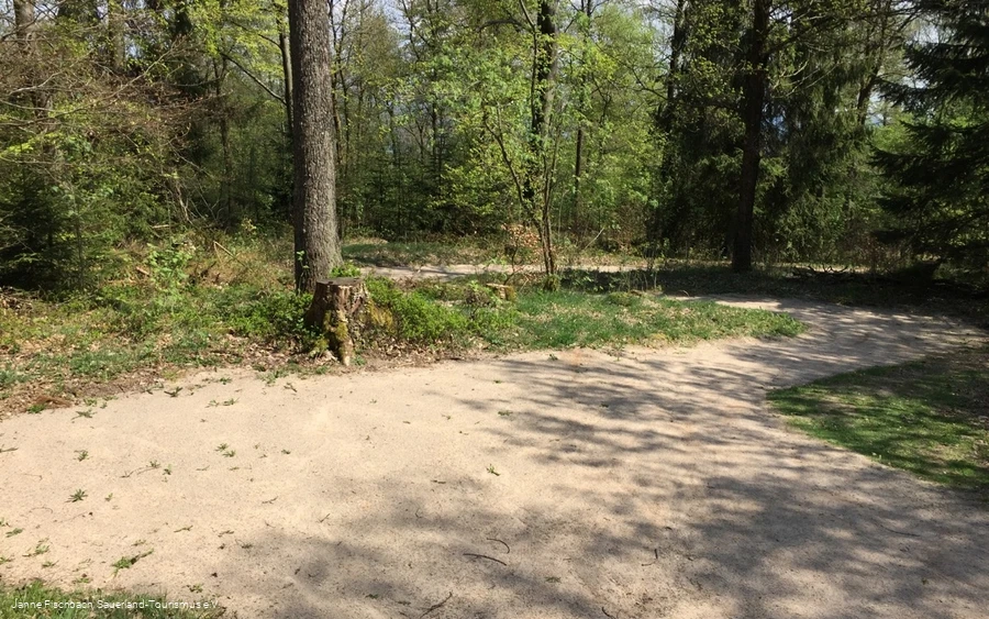 Naturerlebnispfad Hohe Bracht