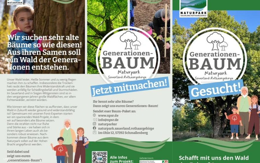 Flyer Generationbaum