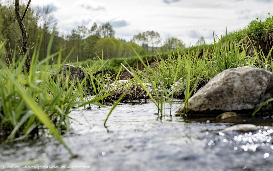 Der Wetterbach in Holzhausen Der Wetterbach in Holzhausen
